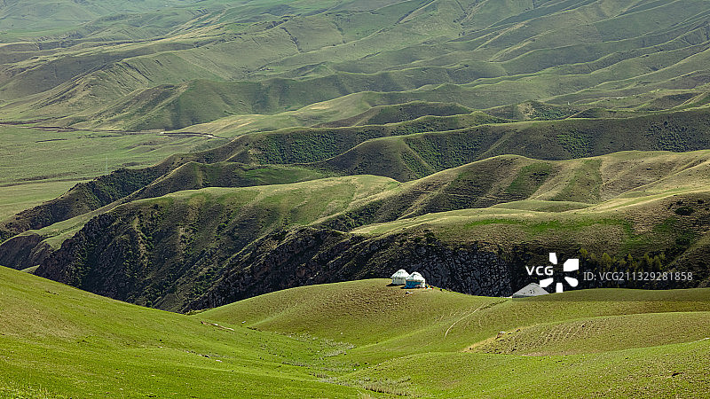 新疆伊犁河谷喀拉峻草原，哈萨克包竖立在起伏的草甸上图片素材