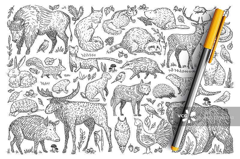 森林野生动物涂鸦集图片素材