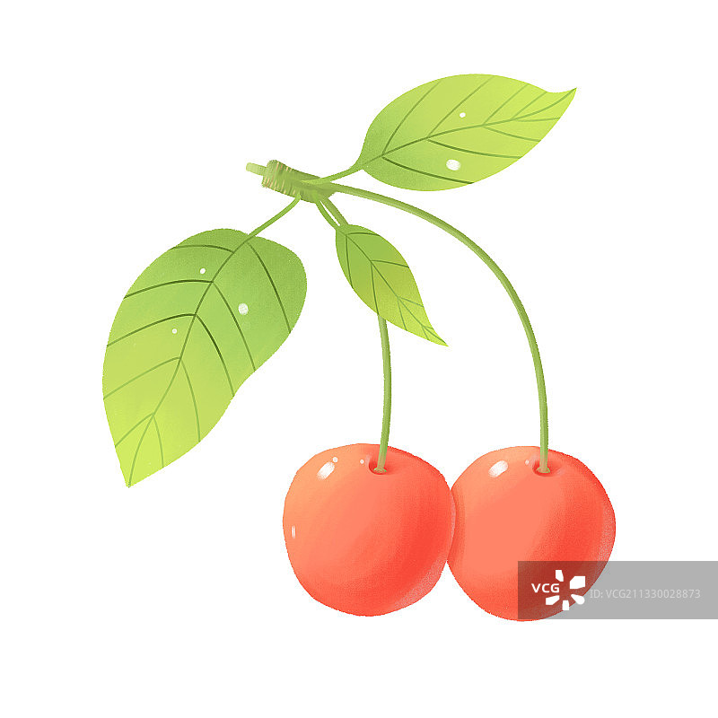 板绘植物水果樱桃车厘子素材元素插画图片素材