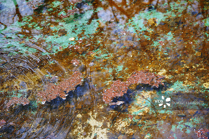 特写纹理照片的池塘与树叶和树的倒影图片素材