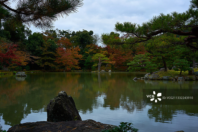 日本金阁町，湖上树木与天空相映成趣图片素材