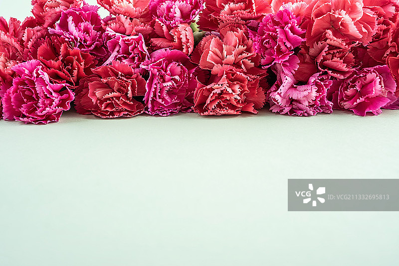 美丽的康乃馨花朵海报背景素材图片素材