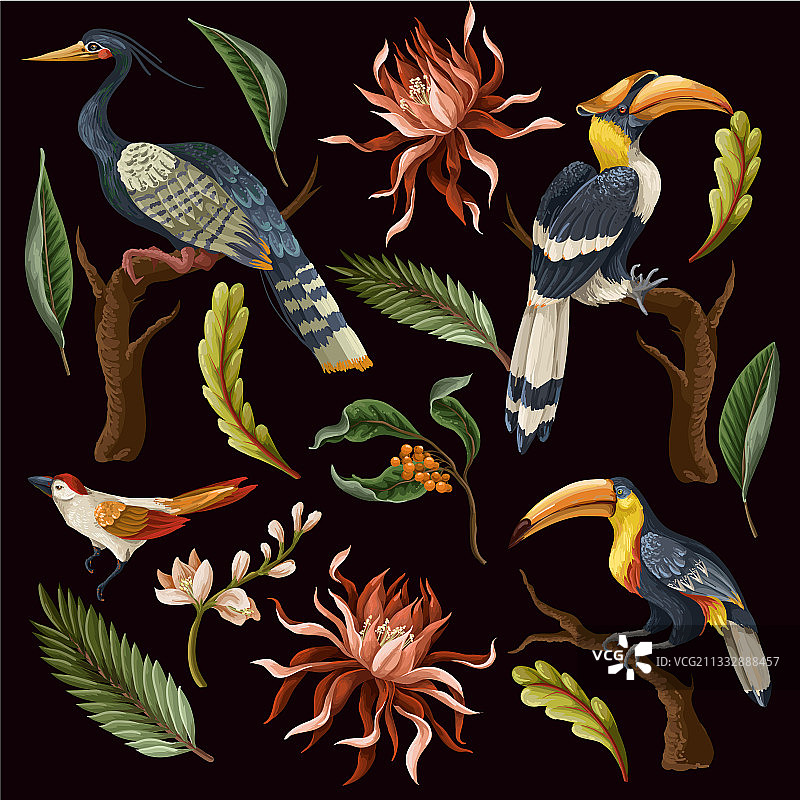 鸟类和热带的叶子和花分离图片素材