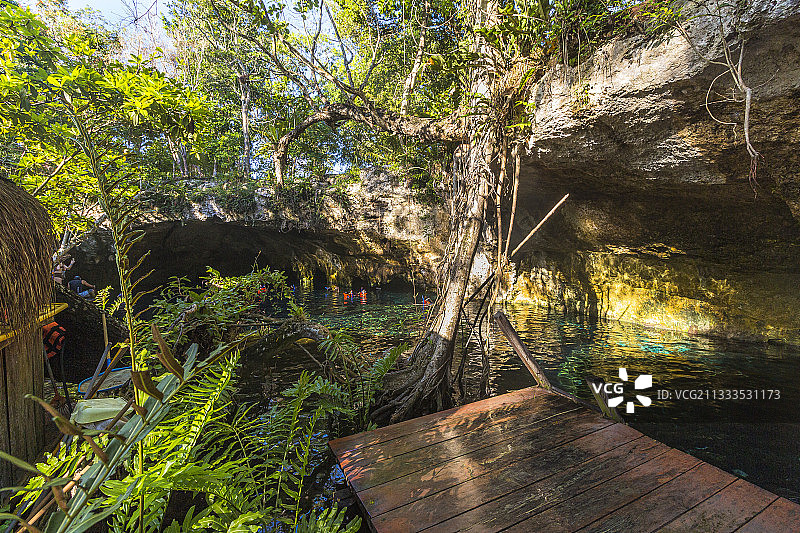 图卢姆的大灰岩——充满水的开放式喀斯特洞穴。墨西哥尤卡坦半岛的金塔纳罗奥图片素材
