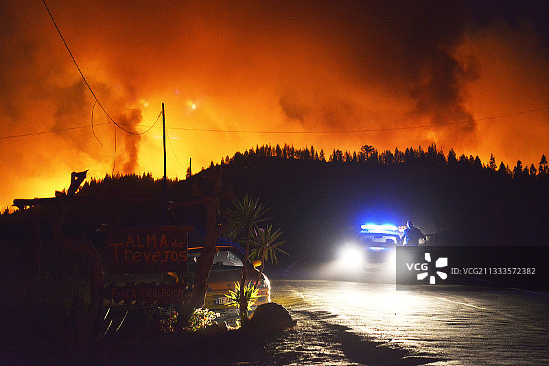 森林大火,大火。松树林(加纳松)。2012年Ifonche,特内里费。加那利群岛。图片素材