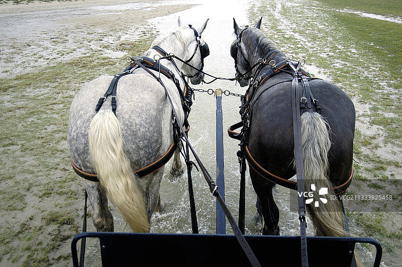 法国索姆湾海滨的马套步道图片素材