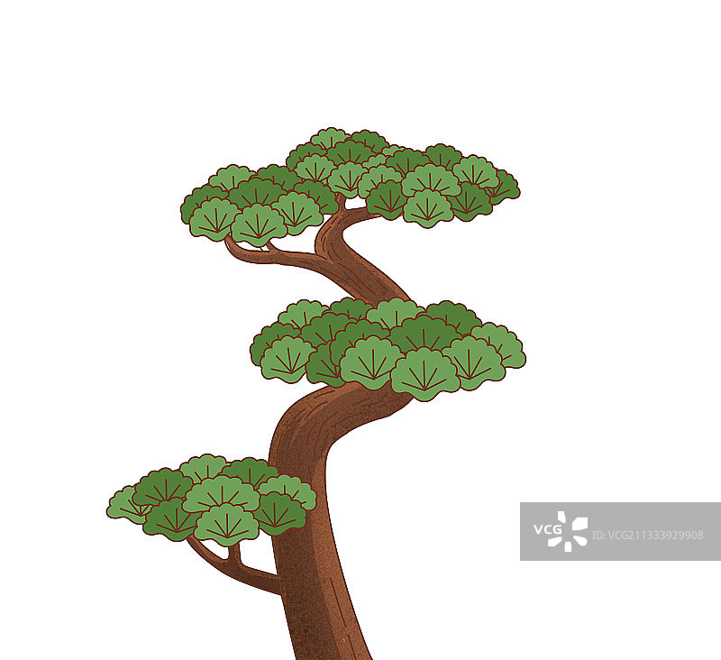 一颗迎客松树松树插画图片素材