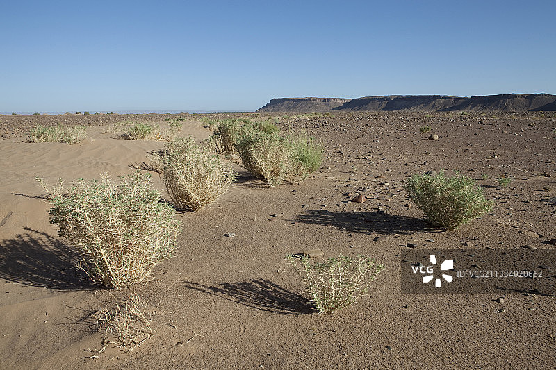 摩洛哥德拉谷的沙漠图片素材