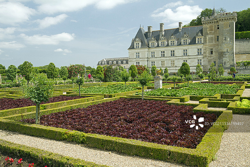 菜园。Villandry城堡，法国图片素材