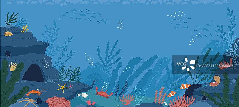水下生活在海洋或海底的异国情调图片素材