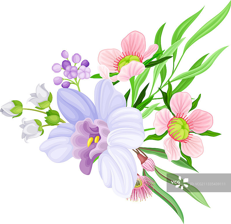 香兰花与唇瓣排列图片素材