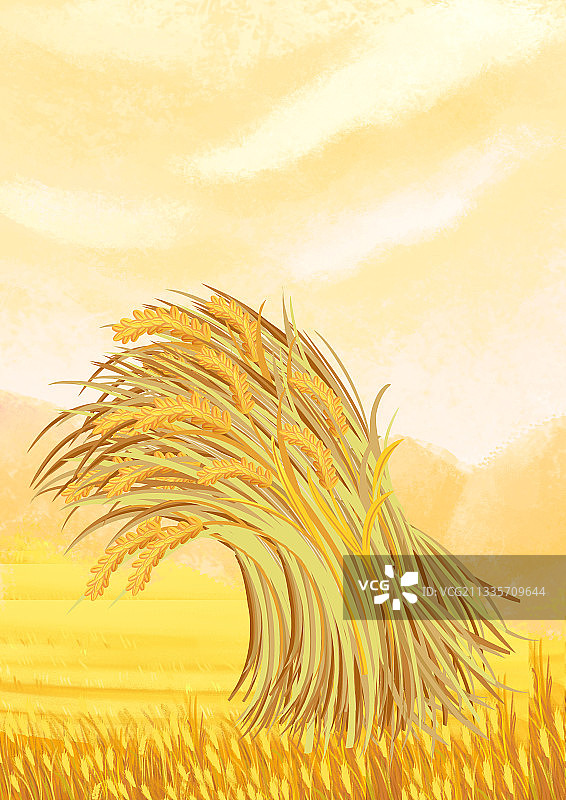手绘写实秋季小麦成熟丰收场景插画图片素材