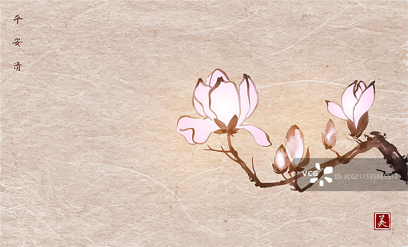粉红色的木兰花在古老的纸背景图片素材