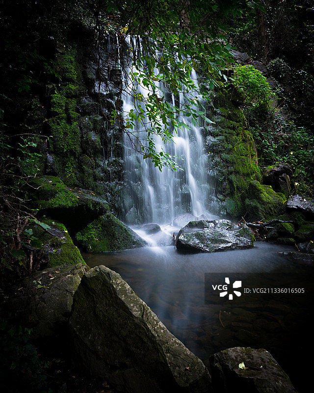 森林瀑布风景，灌木丛公园瀑布，爱尔兰图片素材