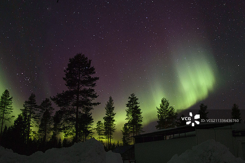 低角度的树木对天空在晚上，拉普兰，芬兰图片素材
