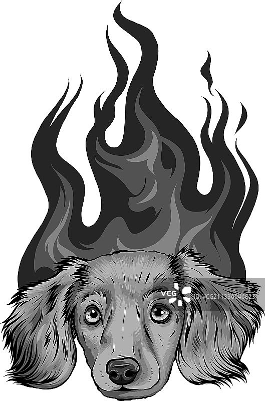 设计小狗狗与火焰装饰图片素材