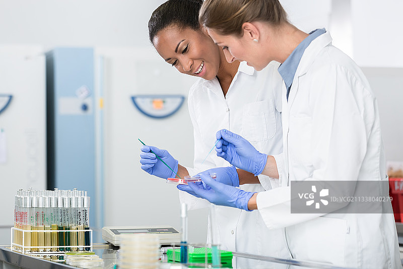 研究实验室里的妇女谈论细菌样本的测试图片素材
