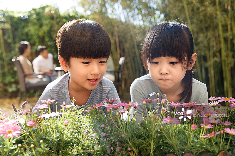 两个儿童在庭院里玩耍图片素材