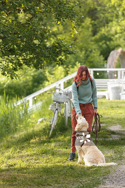 在俄罗斯的公园里，一个女人带着一只拉布拉多寻回犬图片素材
