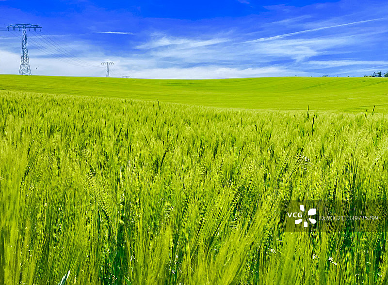 德国魏玛，Umpferstedter Weg a，天空下的农田风景图片素材