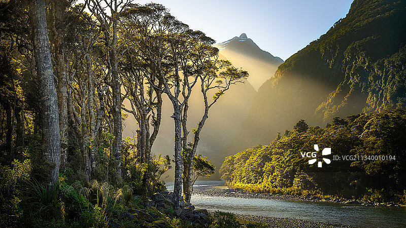 新西兰峡湾国家公园，天空中树木环绕的湖景图片素材