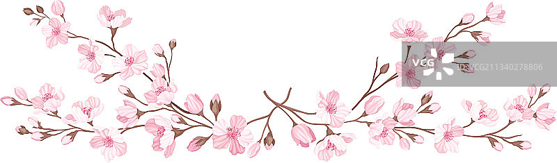 樱花或沿边排列的樱花枝图片素材