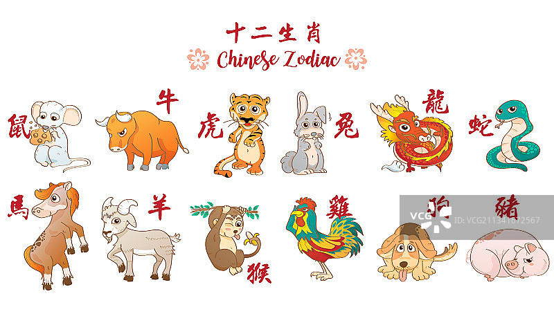 中国十二生肖中有趣的动物，鼠，牛，虎图片素材