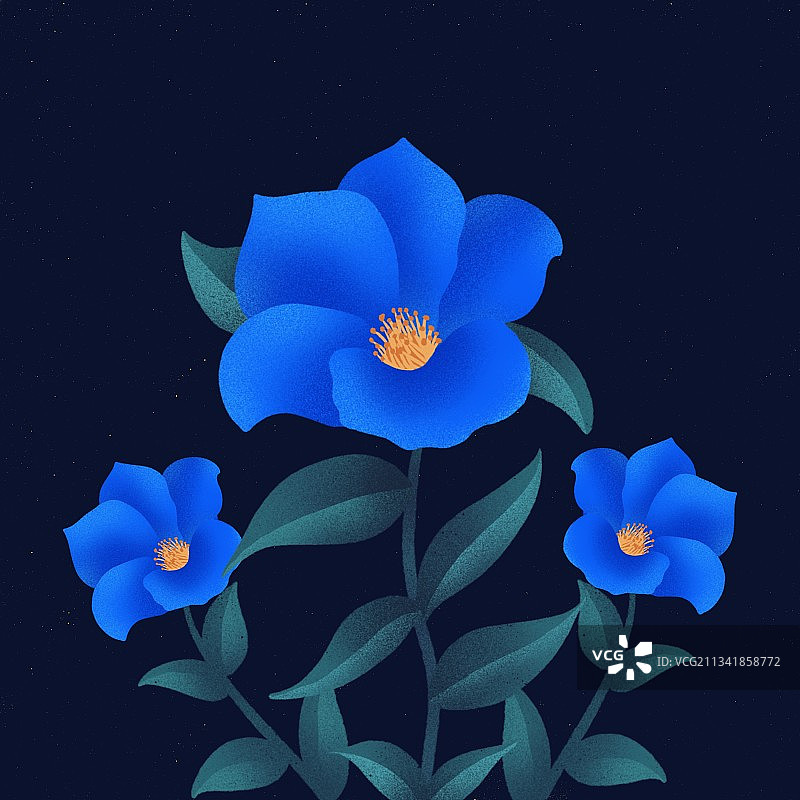 插画,花朵,装饰画,蓝色花,月亮,花瓣,黑色背景,自然,图片素材