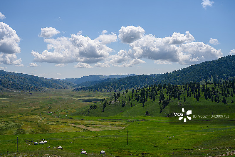 新疆阿勒泰地区夏季草原风光图片素材