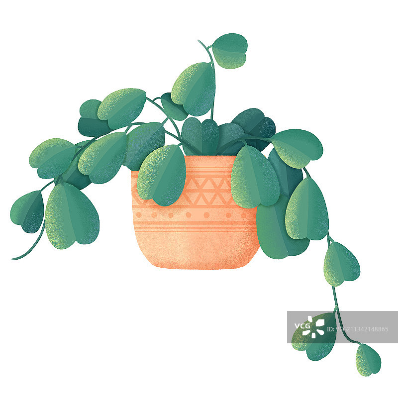 绿藤植物绿植盆栽心形叶绘画插画图片素材