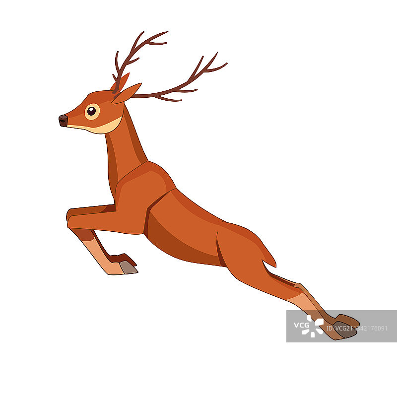 鹿是有蹄的反刍哺乳动物图片素材