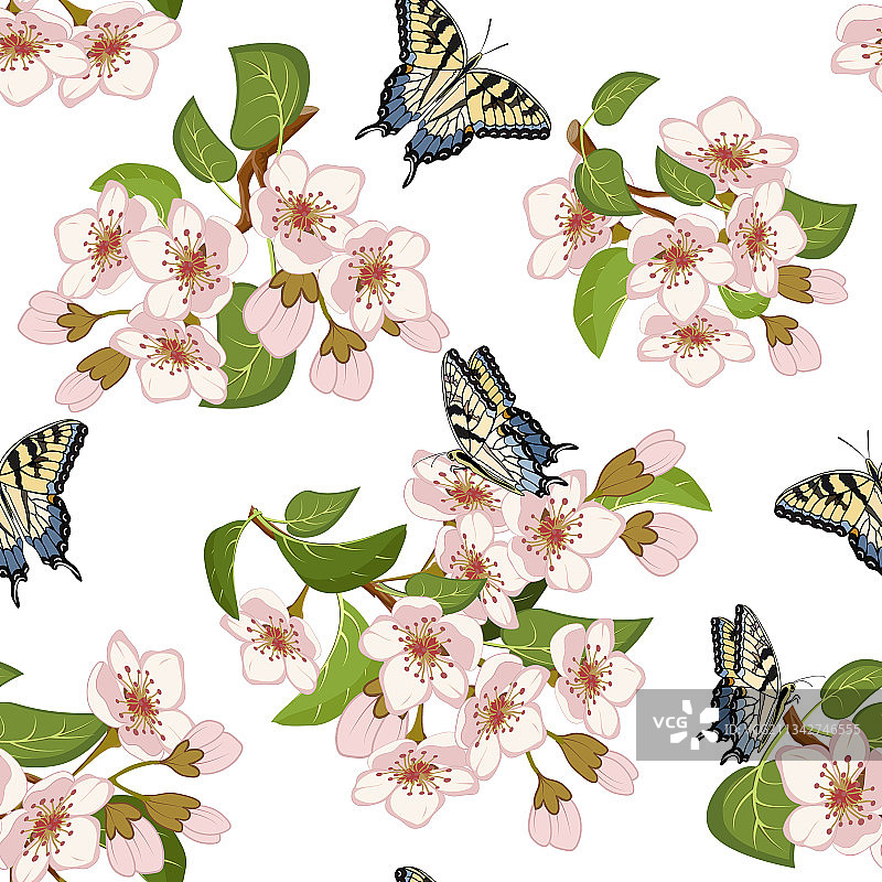 盛开的樱桃和蝴蝶图案图片素材