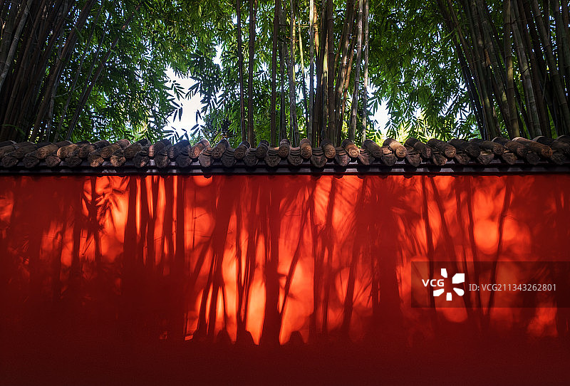 成都武侯祠内红墙青瓦和竹子（绿竹）图片素材