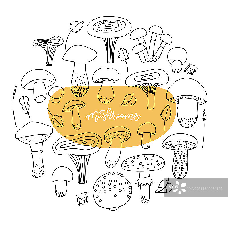 蘑菇直线剪辑艺术集秋的心情孤立图片素材