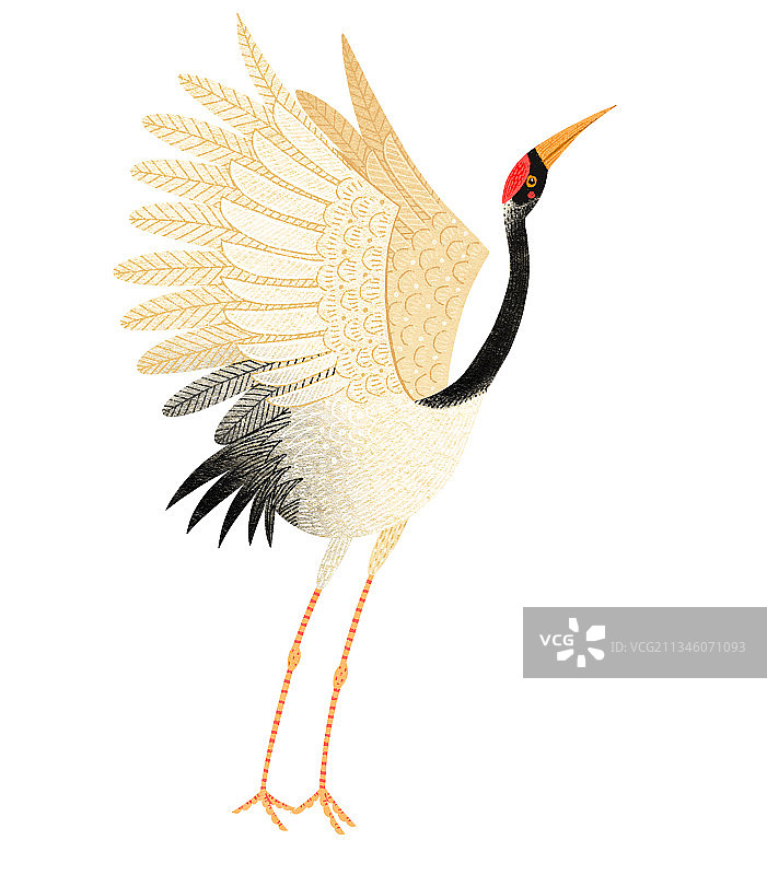 儿童插画国潮风动物风格-正要起飞的仙鹤图片素材