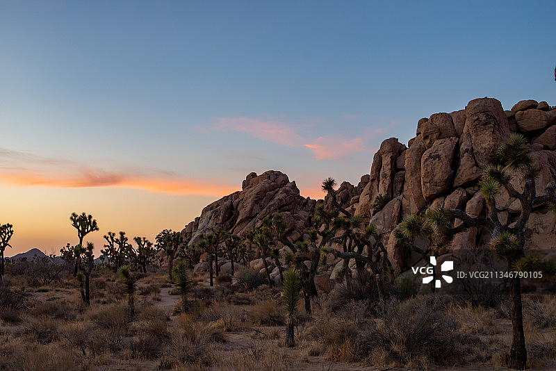 日落时岩石山的风景，约书亚树国家公园，加利福尼亚，美国，美国图片素材