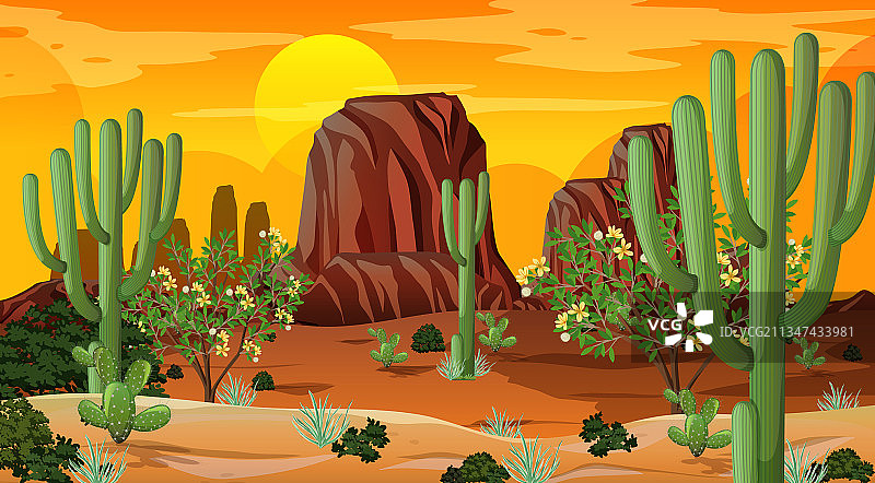 沙漠森林景观在日落时分的景象图片素材