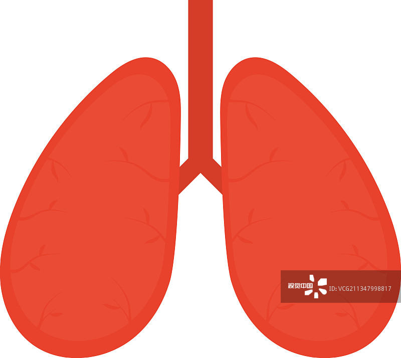 肺图标图像图片素材