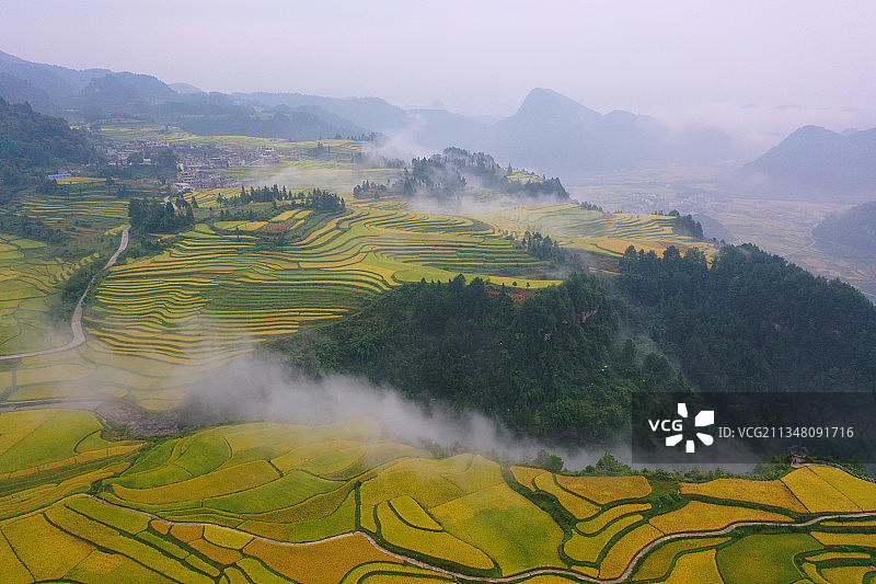 贵州距都市最近保护完好的梯田，金色稻谷也成游客打卡点图片素材