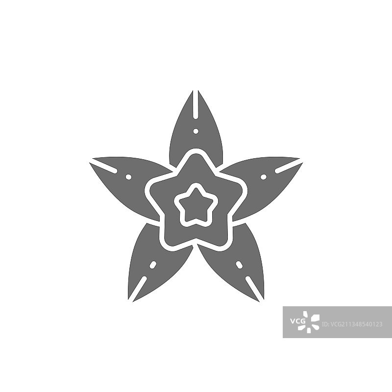 香草、星星、八角、灰色icon隔离在白色上图片素材