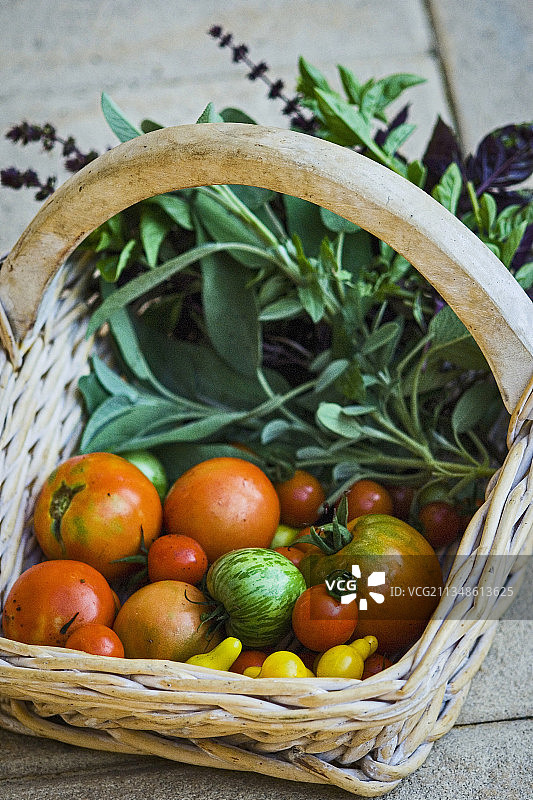 一篮新鲜采摘的花园番茄和香草图片素材
