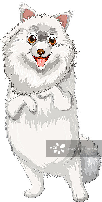 白色背景的博美犬卡通图片素材