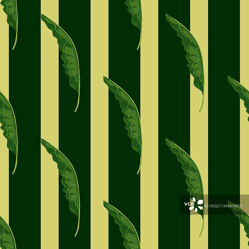 密林密林的图案与翠绿的棕榈树浑然一体图片素材