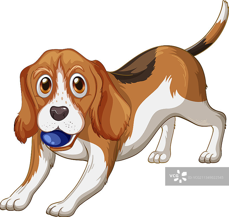 小猎犬卡通在白色的背景图片素材