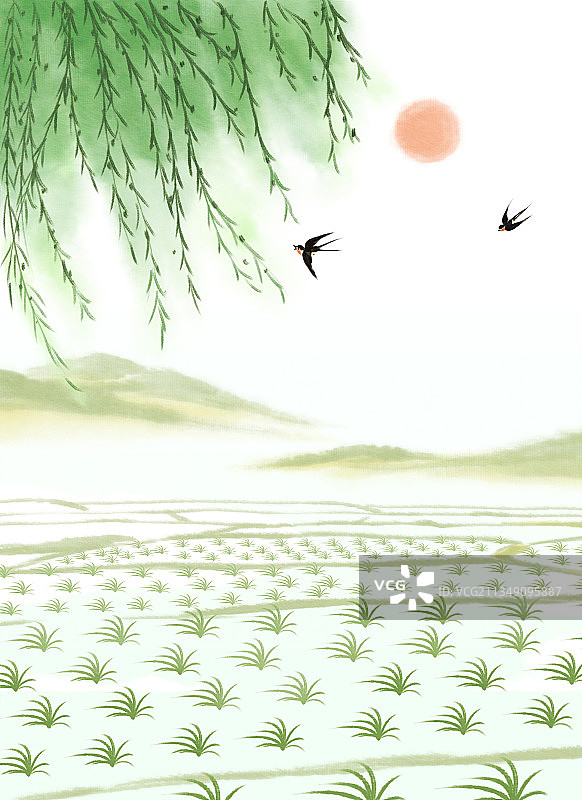 春天柳树发芽燕子归来春分节气插画图片素材