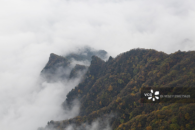 秋天高视角下的陕西汉中龙头山景区连绵山峰与云海图片素材