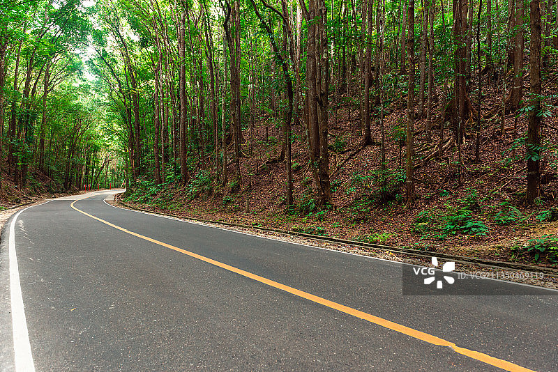 菲律宾薄荷岛森林公路汽车广告背景图图片素材