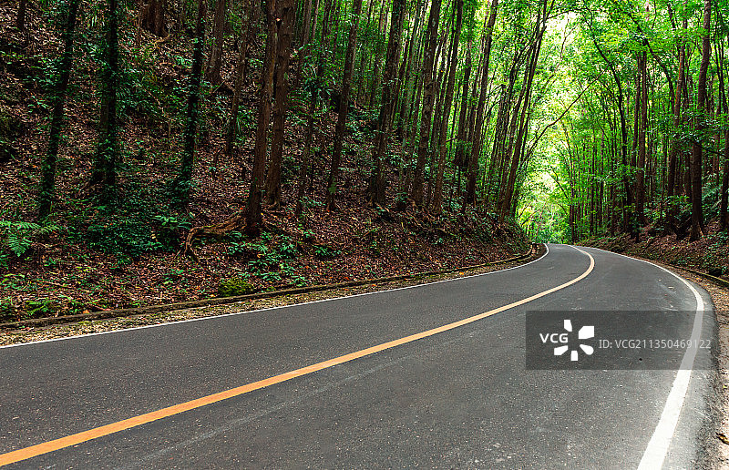 菲律宾薄荷岛森林公路汽车广告背景图图片素材