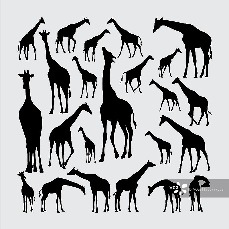长颈鹿剪影一组长颈鹿剪影图片素材