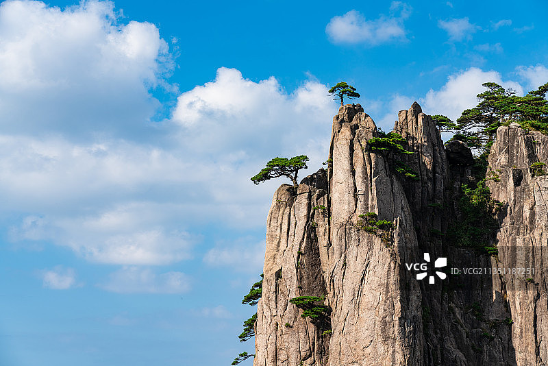 安徽黄山景区始信峰山峰上的松树自然风光图片素材